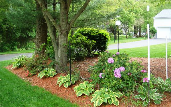 11 Azalea Road Sharon, MA 02067 - Photo 2 of 23