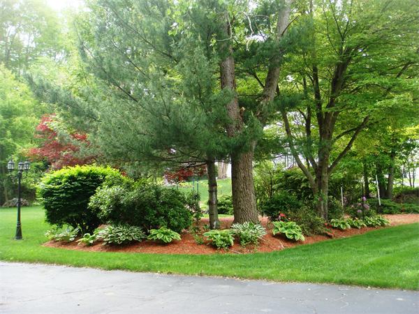 11 Azalea Road Sharon, MA 02067 - Photo 21 of 23