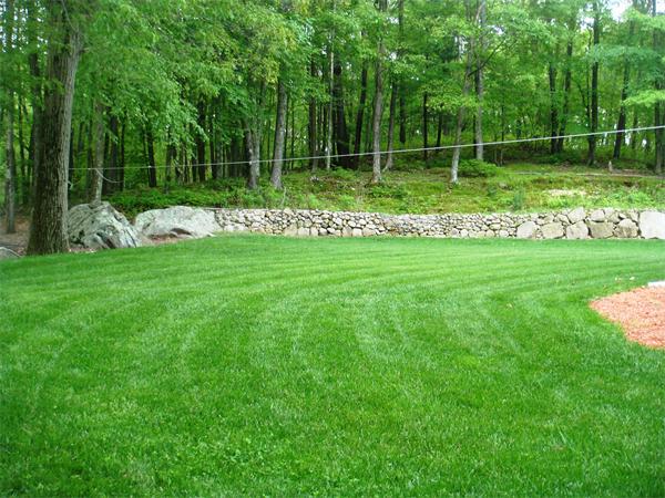 11 Azalea Road Sharon, MA 02067 - Photo 3 of 23