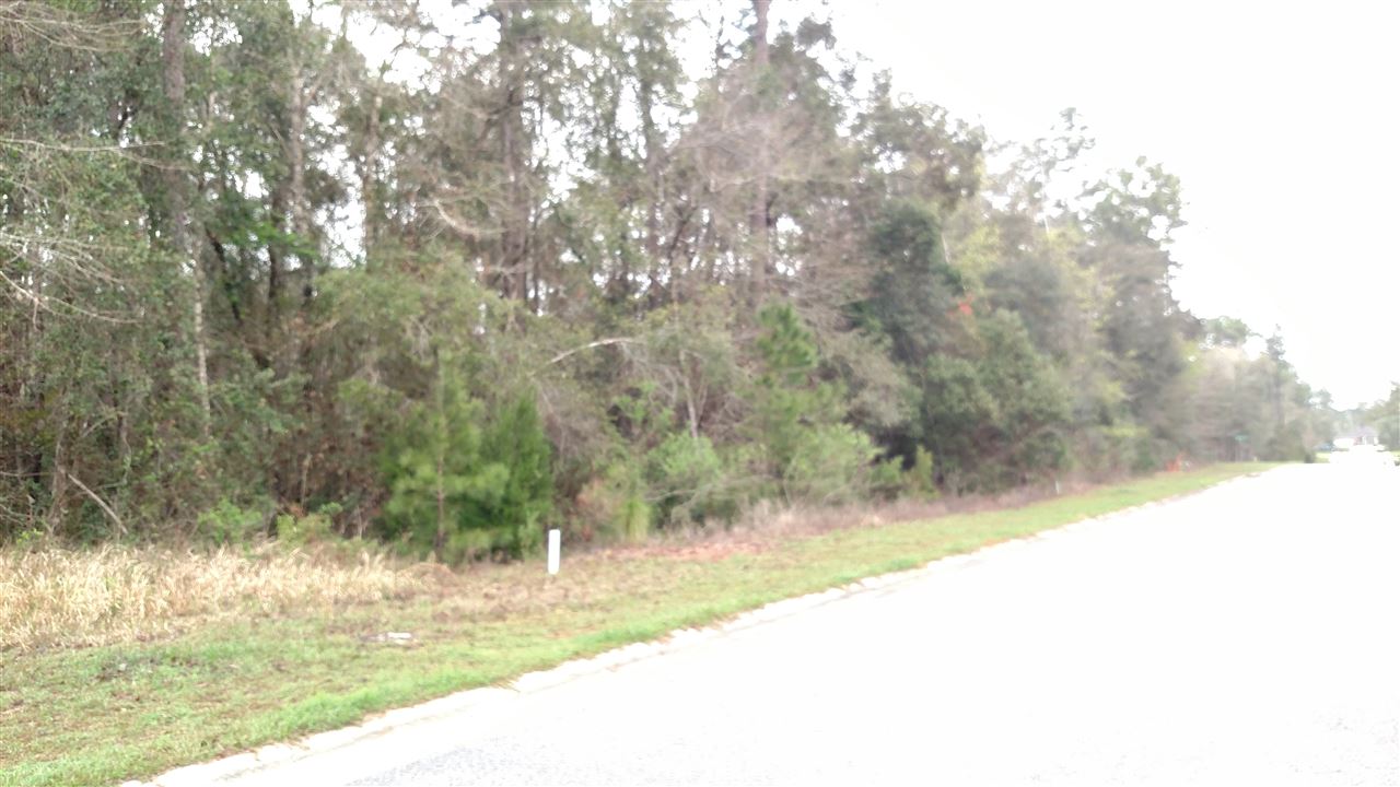 19901 Bunker Loop Fairhope, AL 36532 - Photo 8 of 11