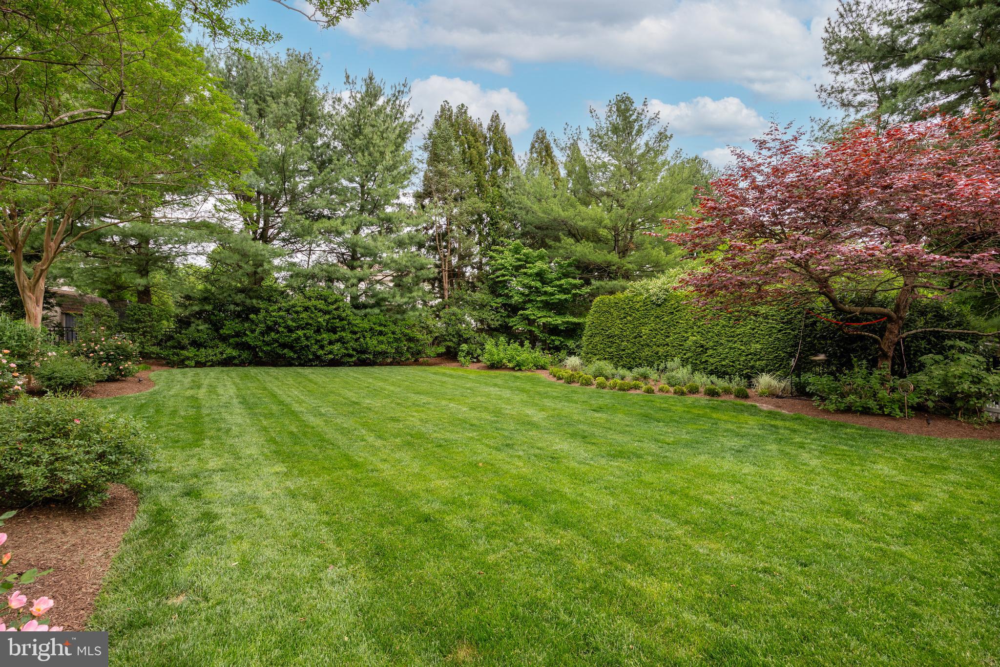 145 Avon Terrace Moorestown, NJ 08057 - Photo 36 of 56