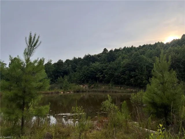 $203,599 | 0 Cedar Forest Road, Franklinville, NC 27248