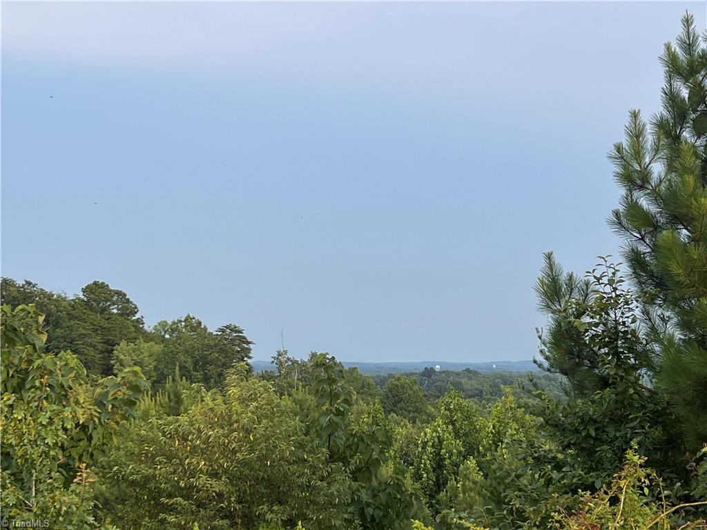 0 Cedar Forest Road Franklinville, NC 27248 - Photo 2 of 6