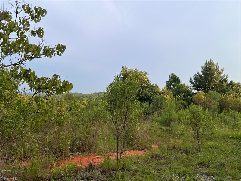 0 Cedar Forest Road Franklinville, NC 27248 - Photo 3 of 6