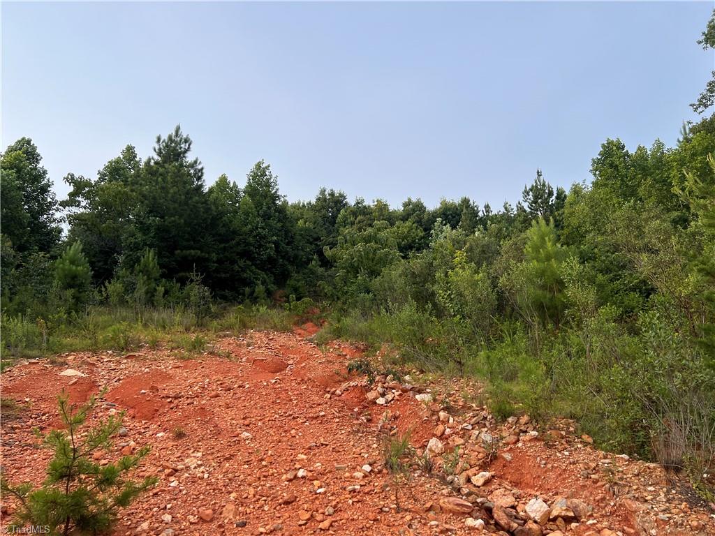 0 Cedar Forest Road Franklinville, NC 27248 - Photo 4 of 6