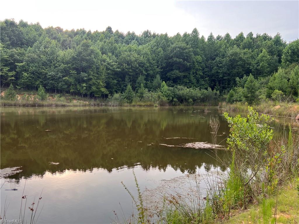 0 Cedar Forest Road Franklinville, NC 27248 - Photo 5 of 6