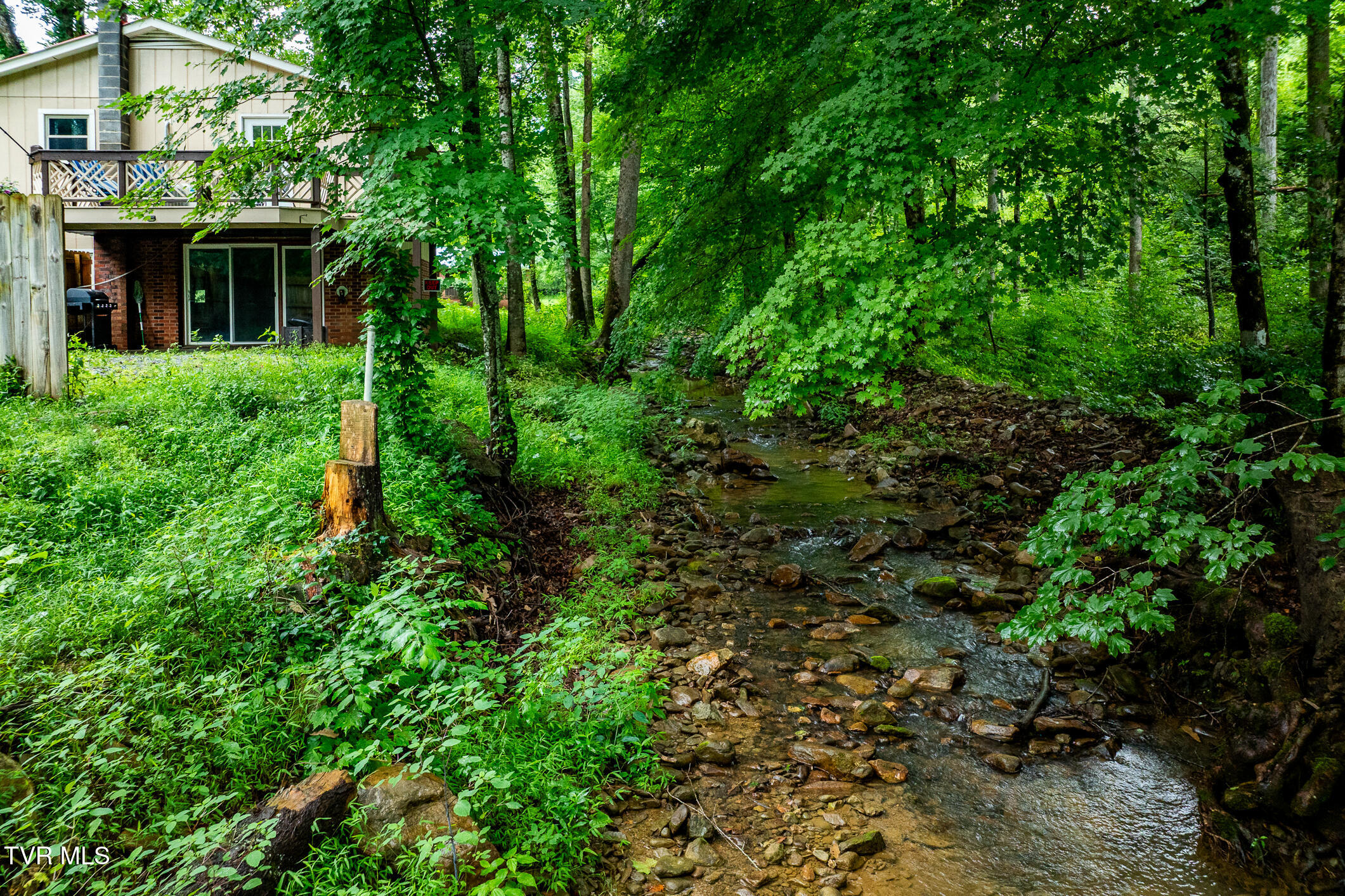6539 Big Dry Run Road Butler, TN 37640 - Photo 49 of 93 6539 Big Dry Run Road (27 of 79)