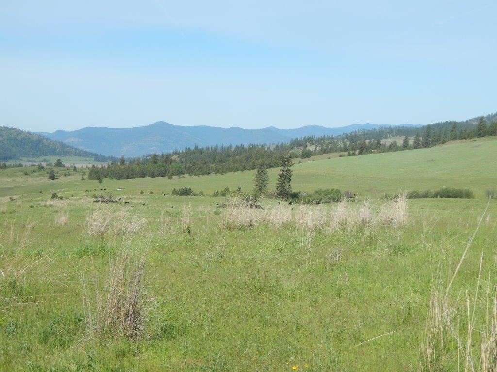Xxxx Lessig Road, Unit LOT E Hunters, WA 99137 - Photo 3 of 5