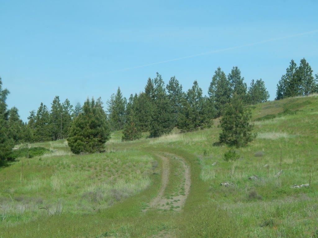 Xxxx Lessig Road, Unit LOT E Hunters, WA 99137 - Photo 4 of 5