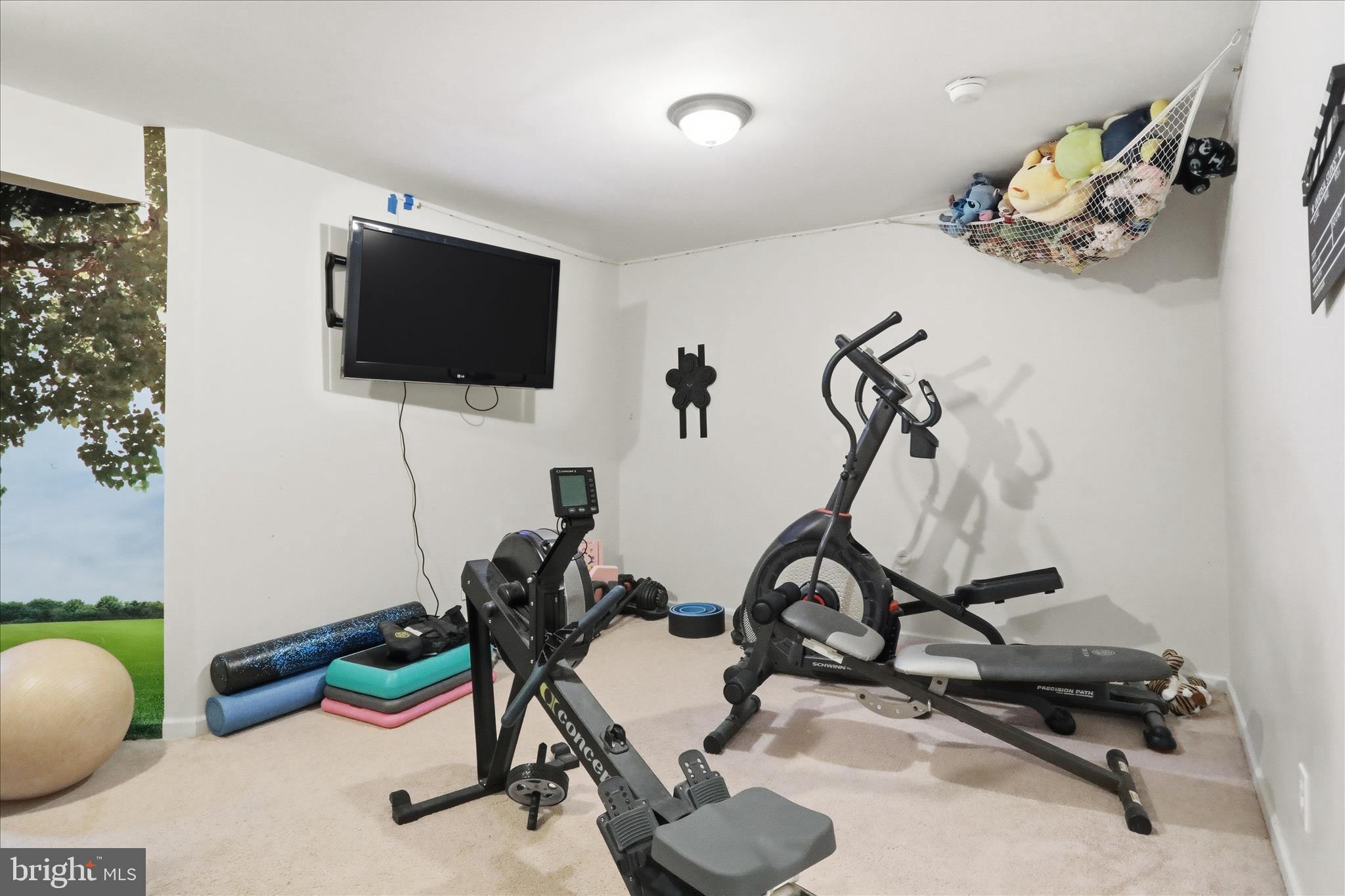 1130 Happy Ridge Drive Front Royal, VA 22630 - Photo 33 of 42 a view of a room with gym equipment