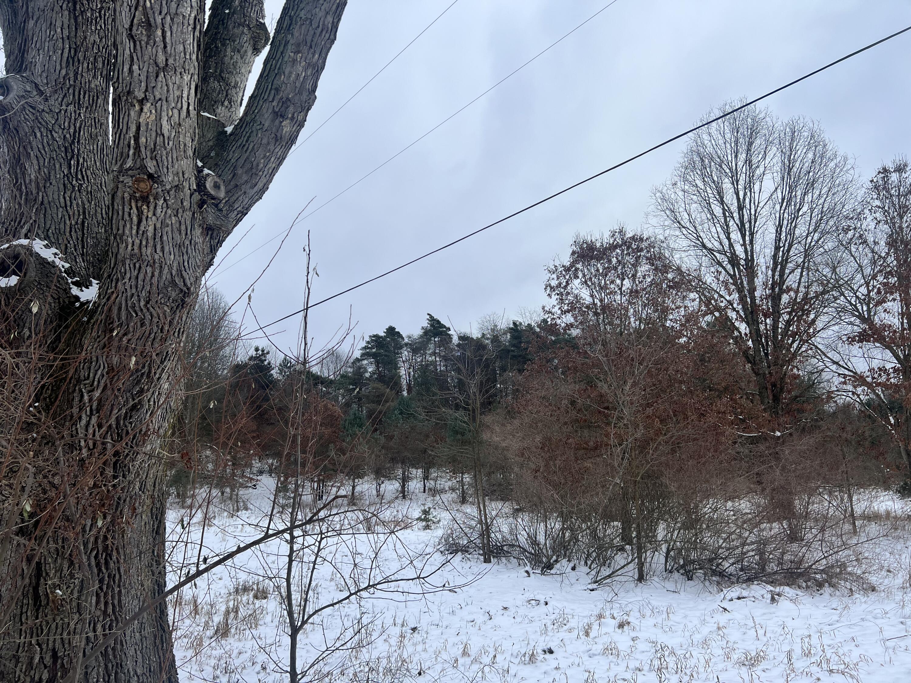 V/l Hamilton Road Battle Creek, MI 49017 - Photo 2 of 2 IMG_3927