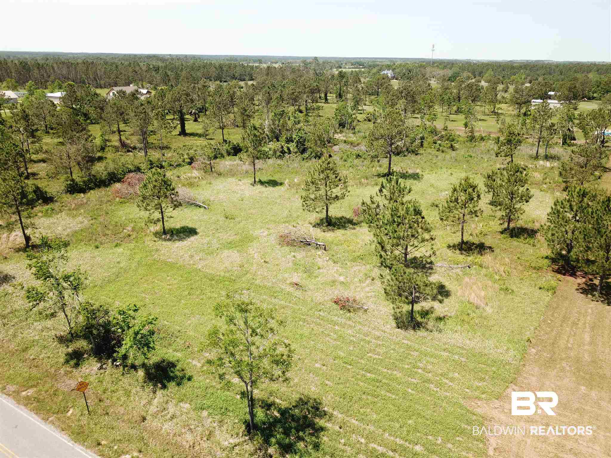 Randolph Avenue Lillian, AL 36549 - Photo 1 of 11 4 Acre Home Site