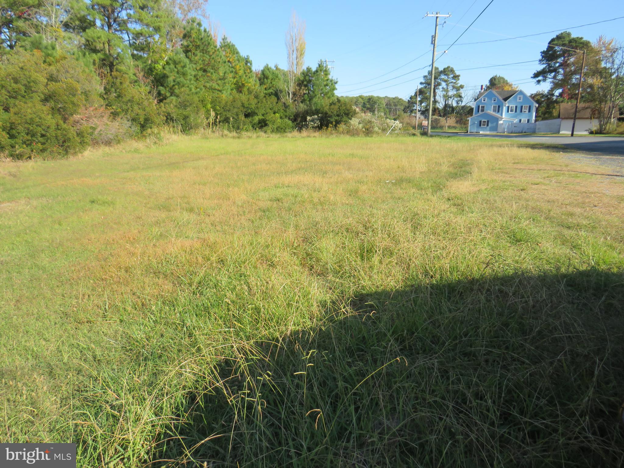 11139 Hodson White Road Deal Island, MD 21821 - Photo 23 of 26