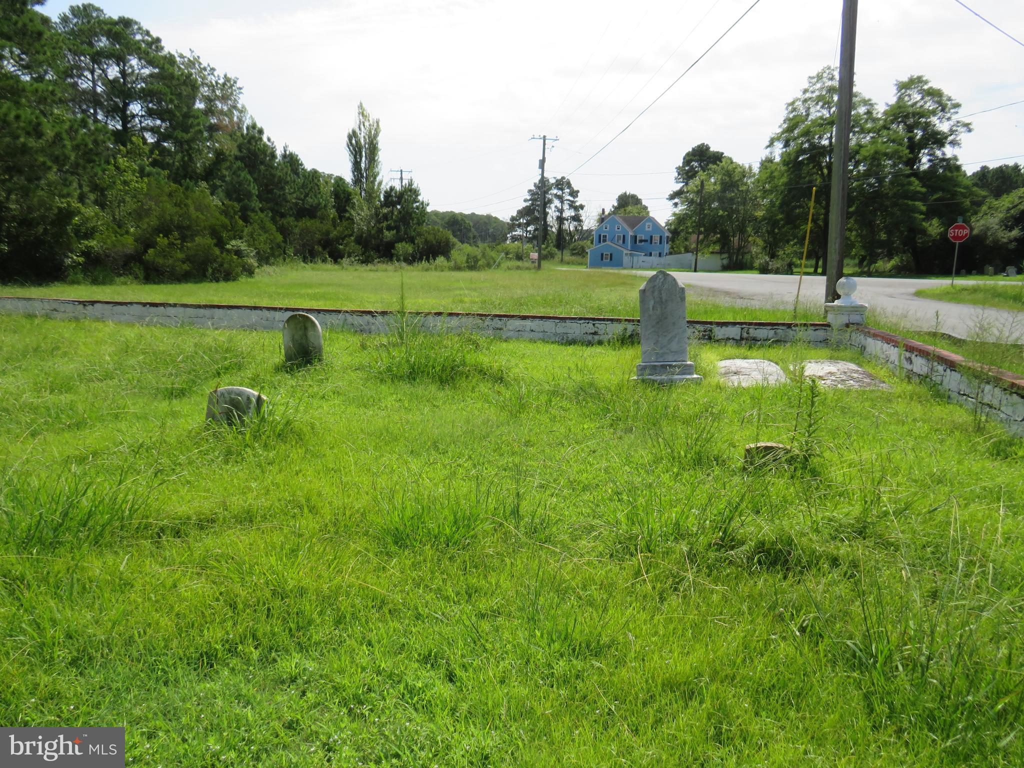 11139 Hodson White Road Deal Island, MD 21821 - Photo 25 of 26