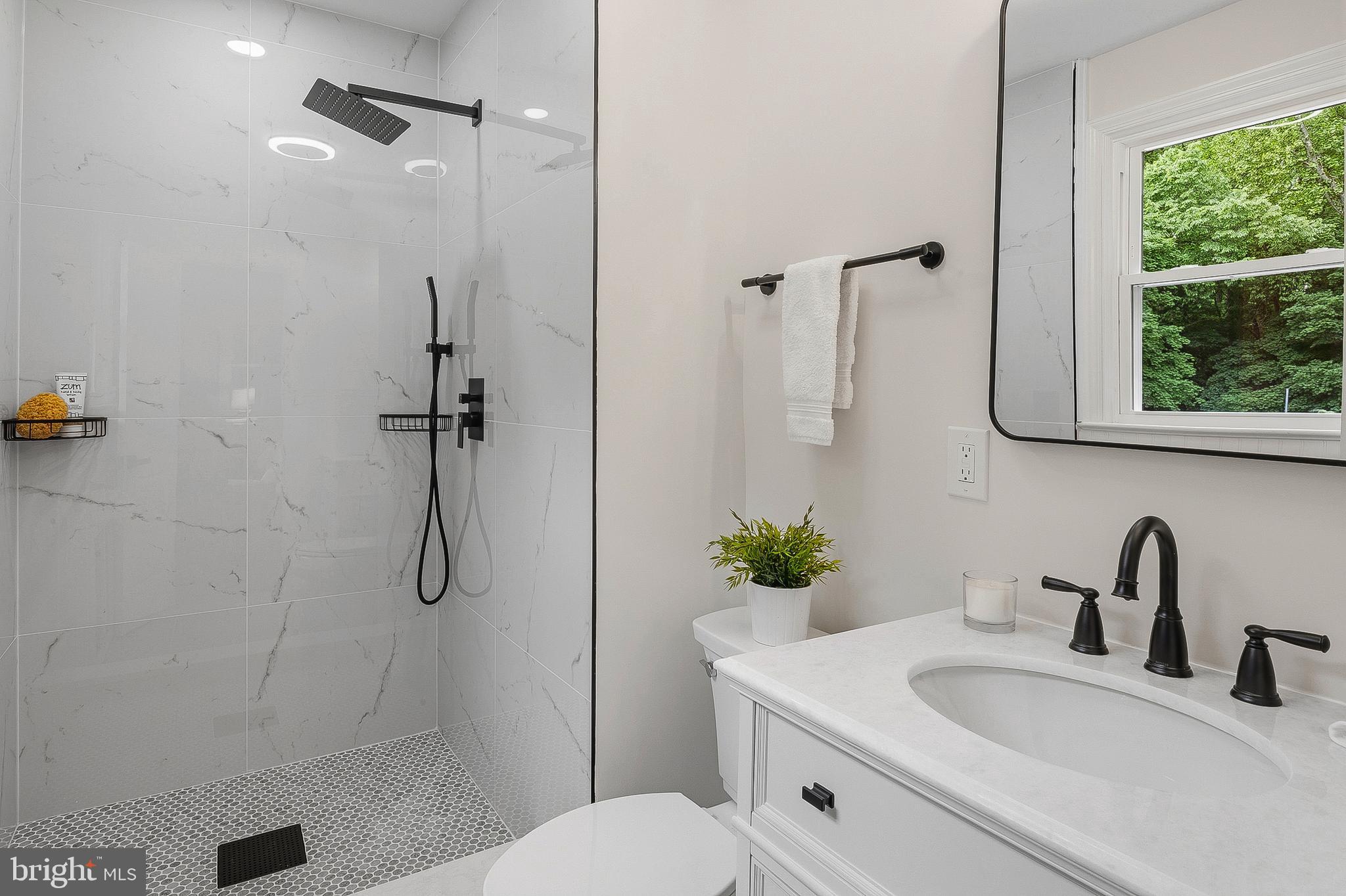 206 Shaw Avenue Silver Spring, MD 20904 - Photo 22 of 59 Primary Bathroom