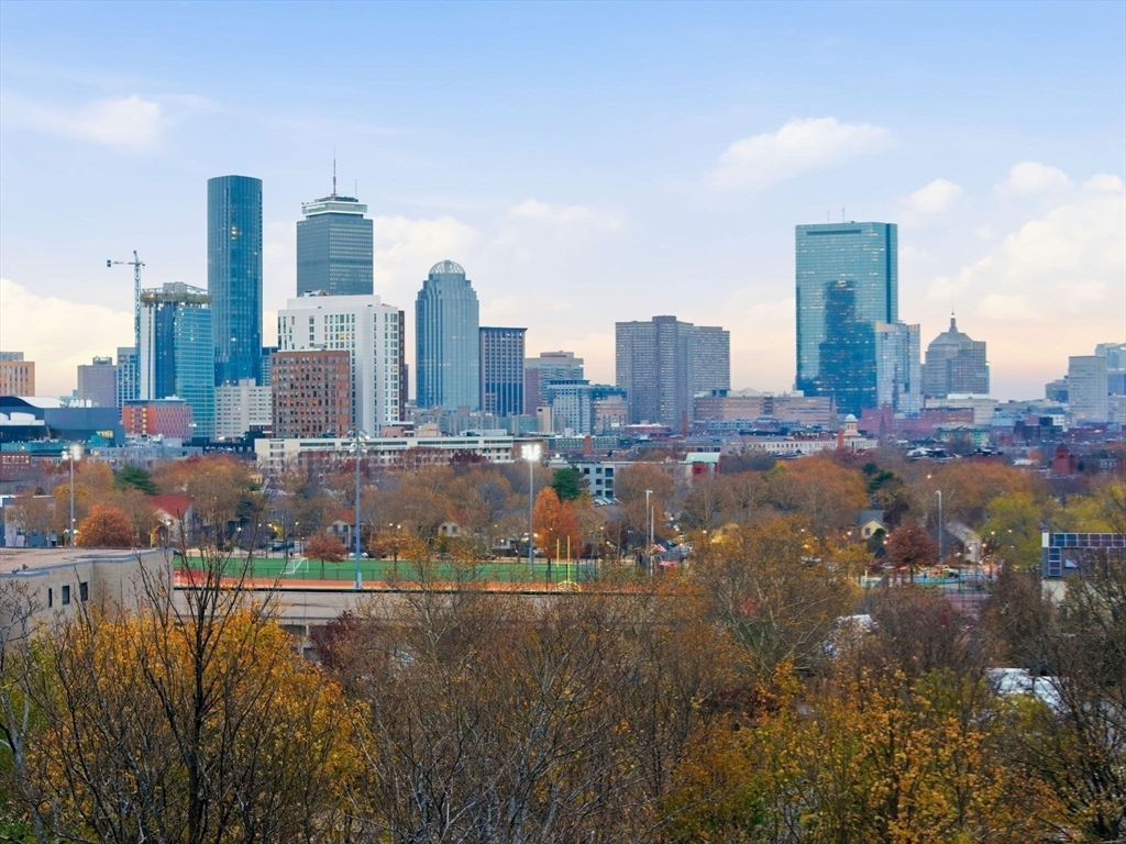 48-50 Dudley Street Boston, MA 02119 - Photo 27 of 27