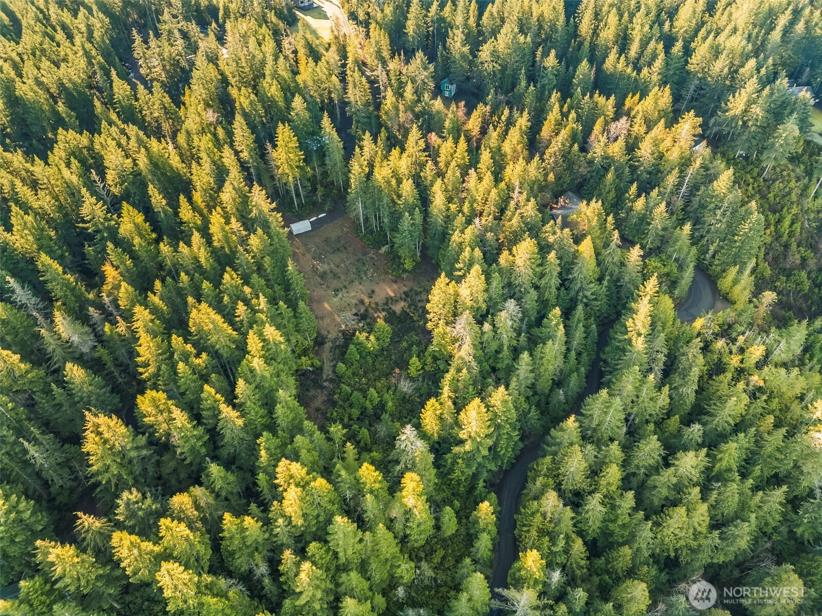 1123 East Timber Tides Drive Union, WA 98592 - Photo 5 of 6 a view of a tree