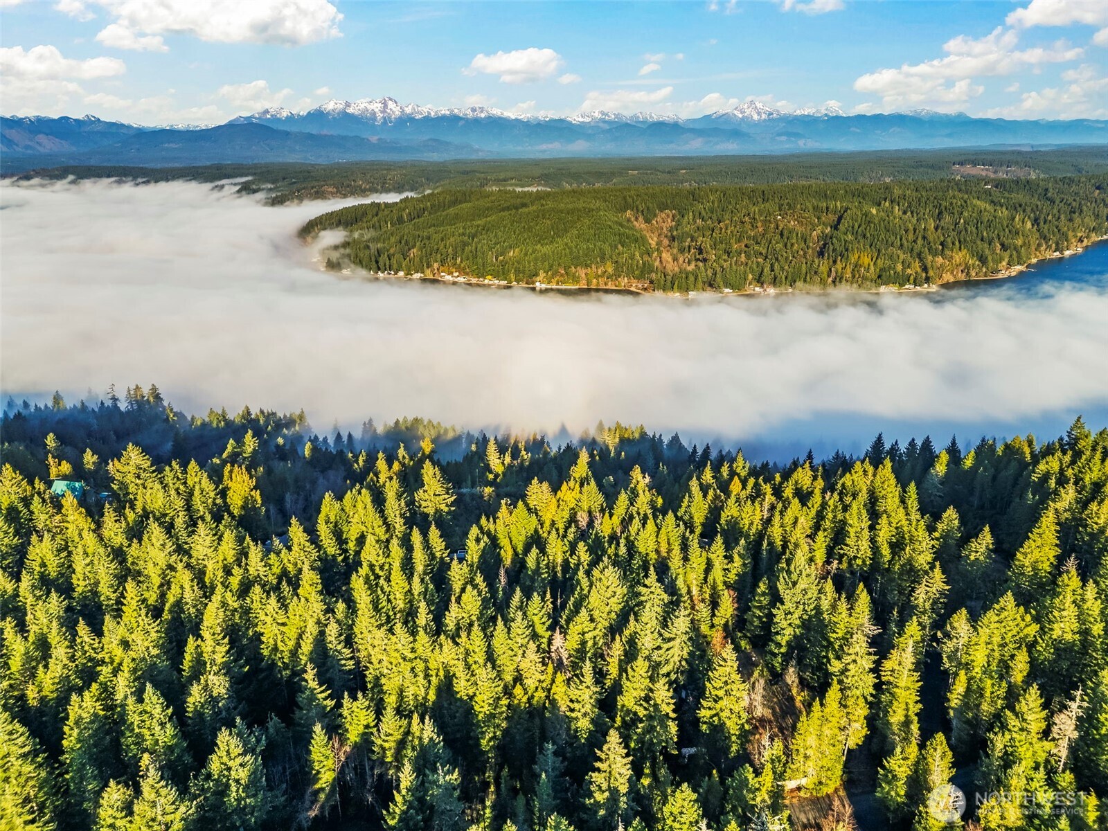 1123 East Timber Tides Drive Union, WA 98592 - Photo 6 of 6