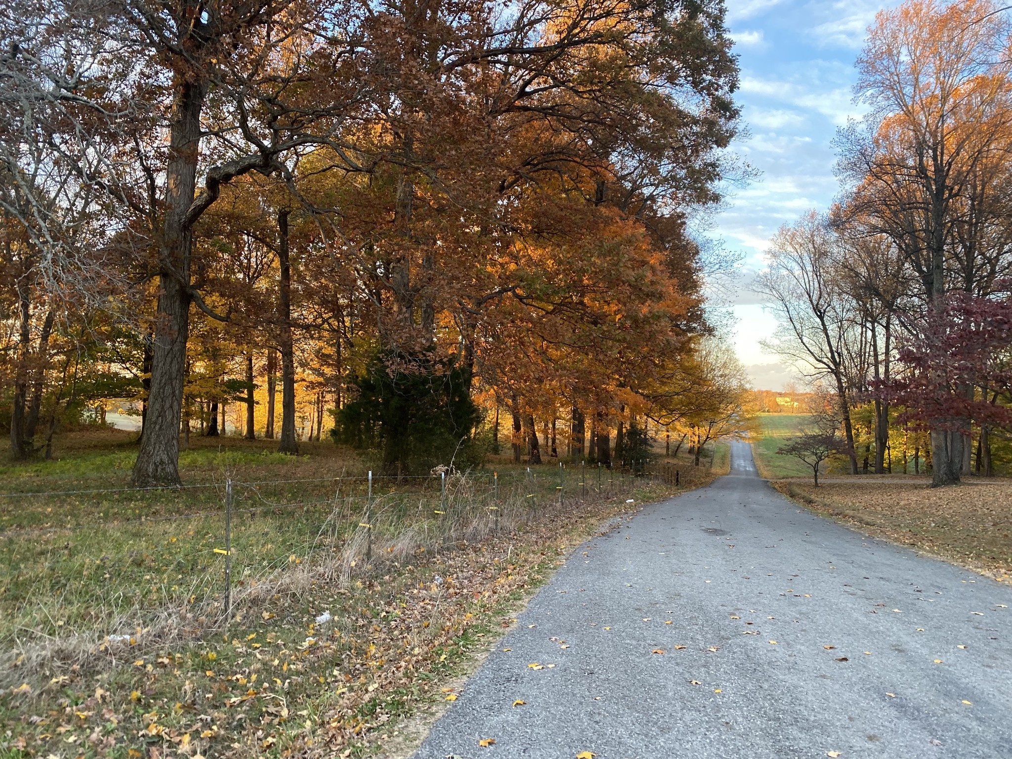 5762 Fulton Road Springfield, TN 37172 - Photo 1 of 2 a view of a yard with a tree