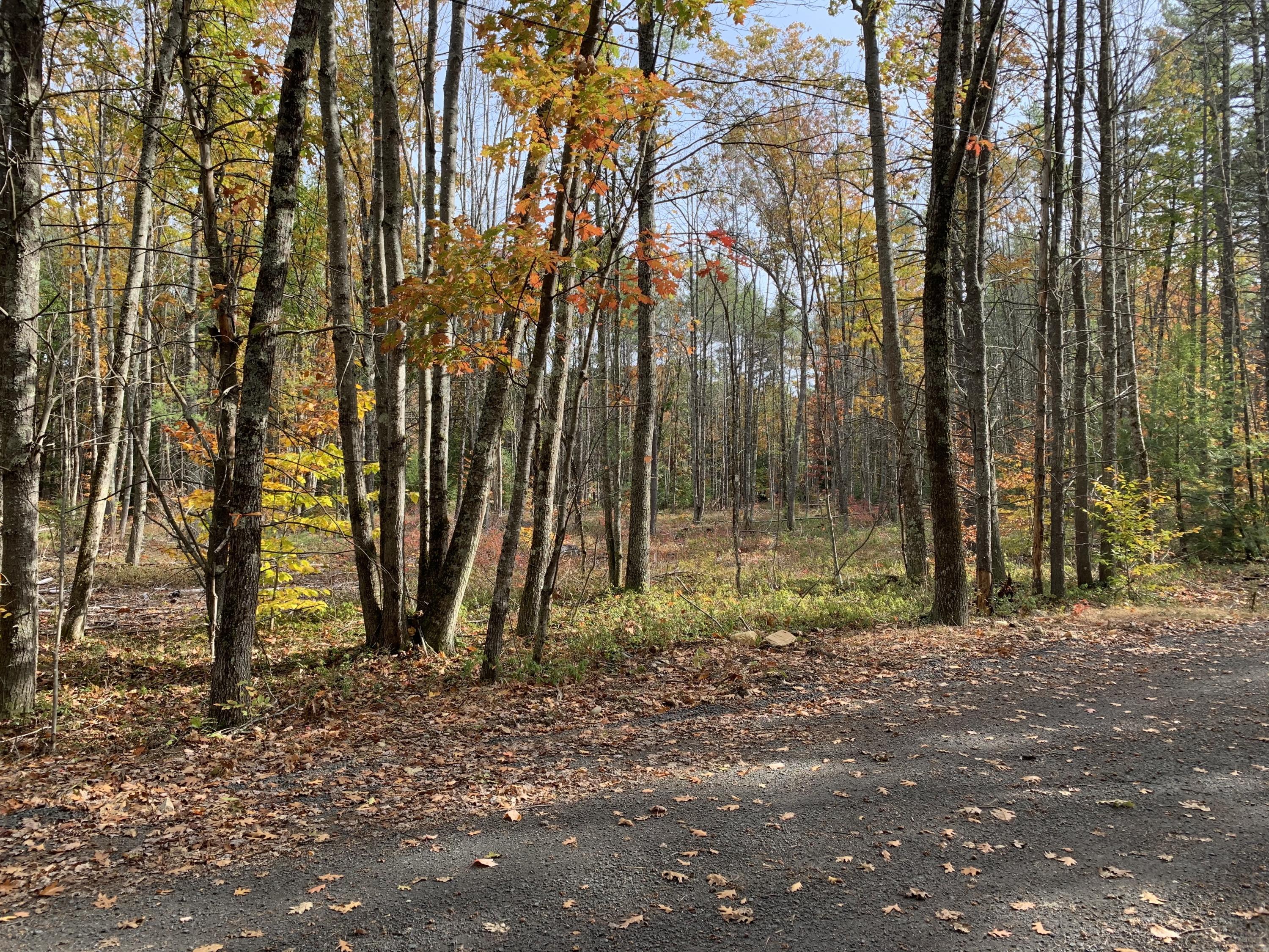 0 Wire Road Wells, ME 04090 - Photo 6 of 19 IMG_9473