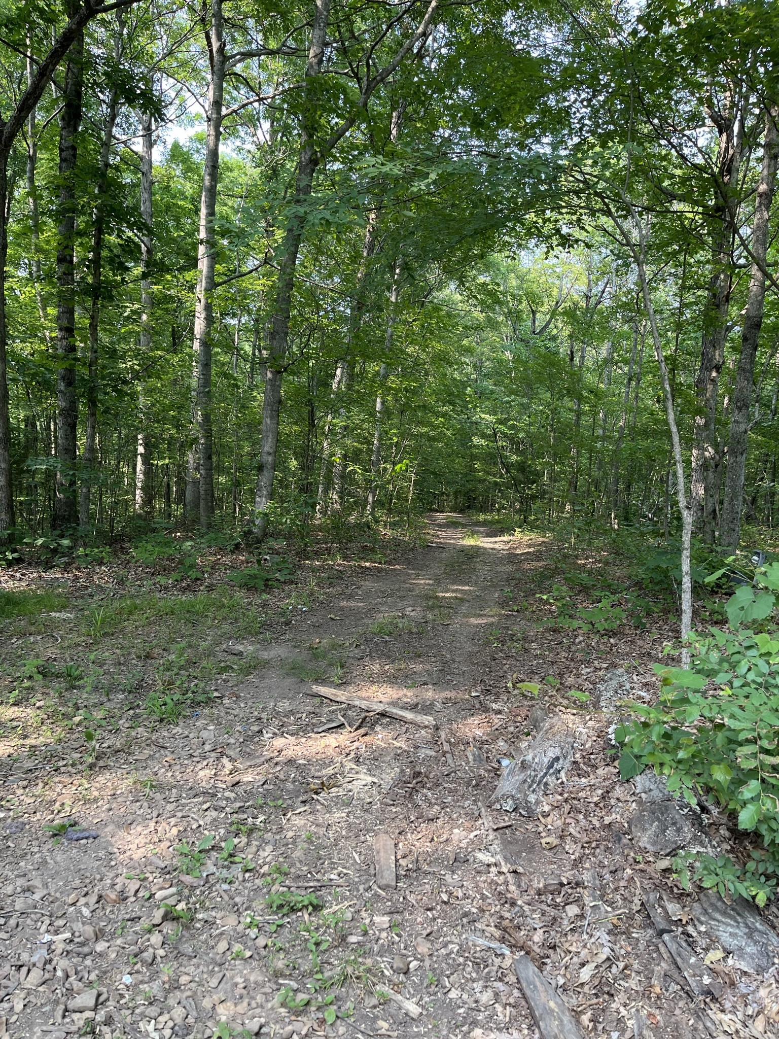 376 Brock Road Charlotte, TN 37036 - Photo 8 of 32 Gallery Image 8