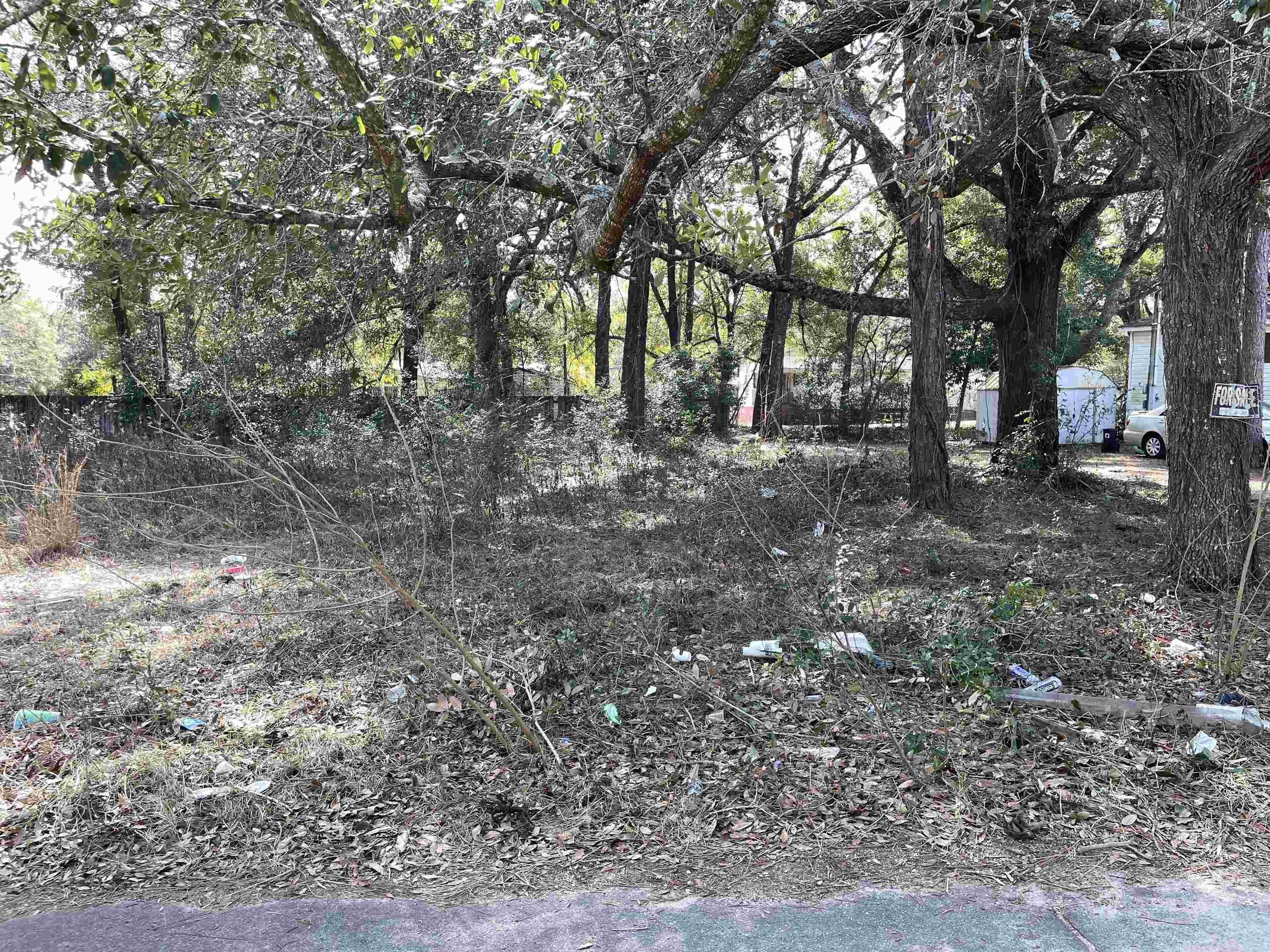 3539 Sundown Road Tallahassee, FL 32305 - Photo 2 of 7