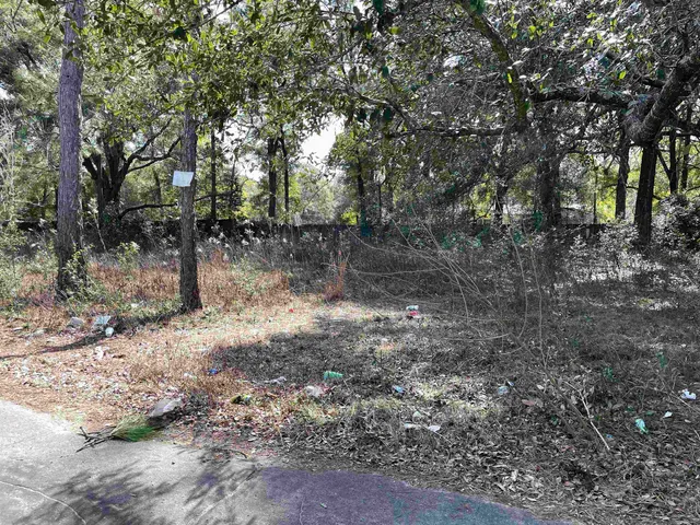 $20,000 | 3539 Sundown Road, Tallahassee, FL 32305