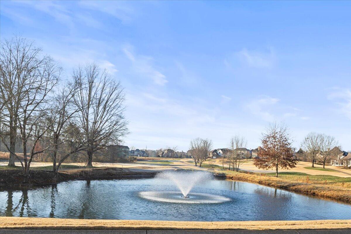 8043 Slugger Way Chattanooga, TN 37421 - Photo 36 of 44 43-IMG_7323