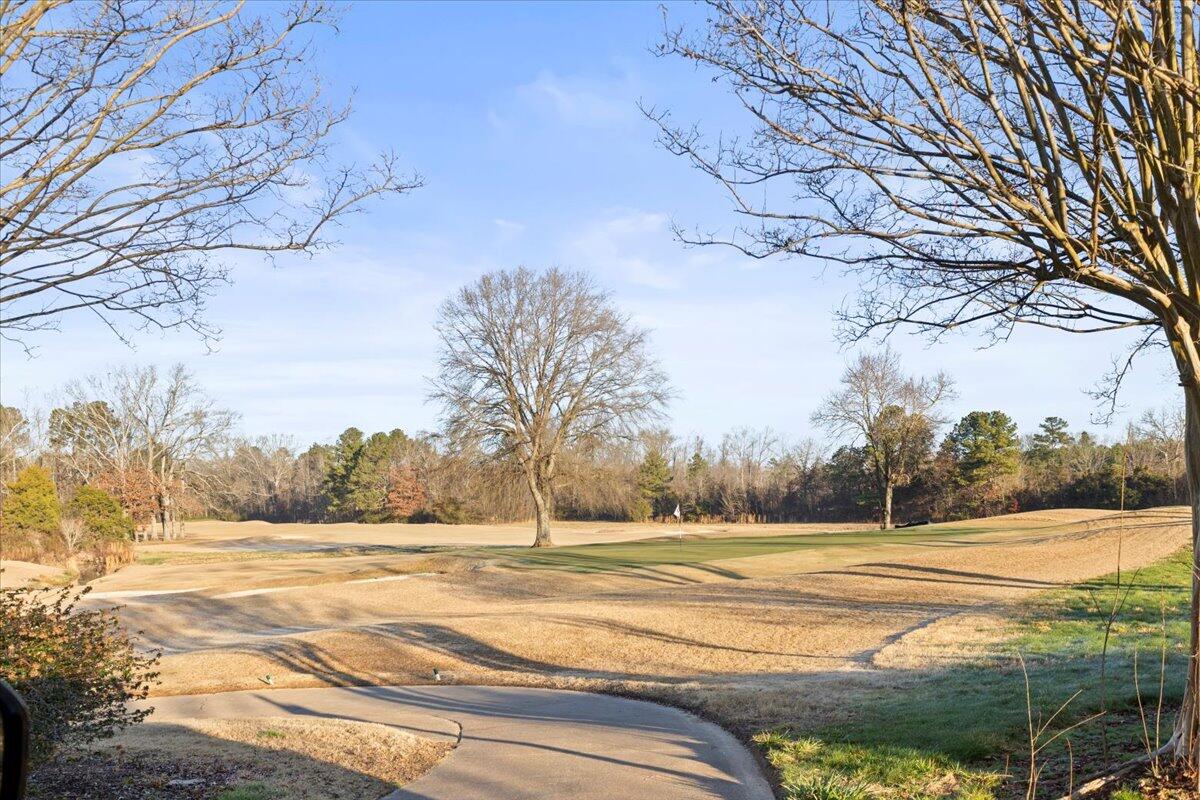 8043 Slugger Way Chattanooga, TN 37421 - Photo 37 of 44 44-IMG_7326