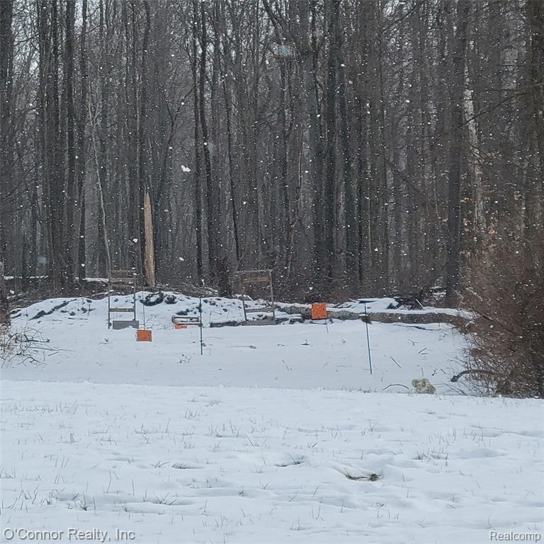 2845 Burr Road Applegate, MI 48401 - Photo 40 of 53