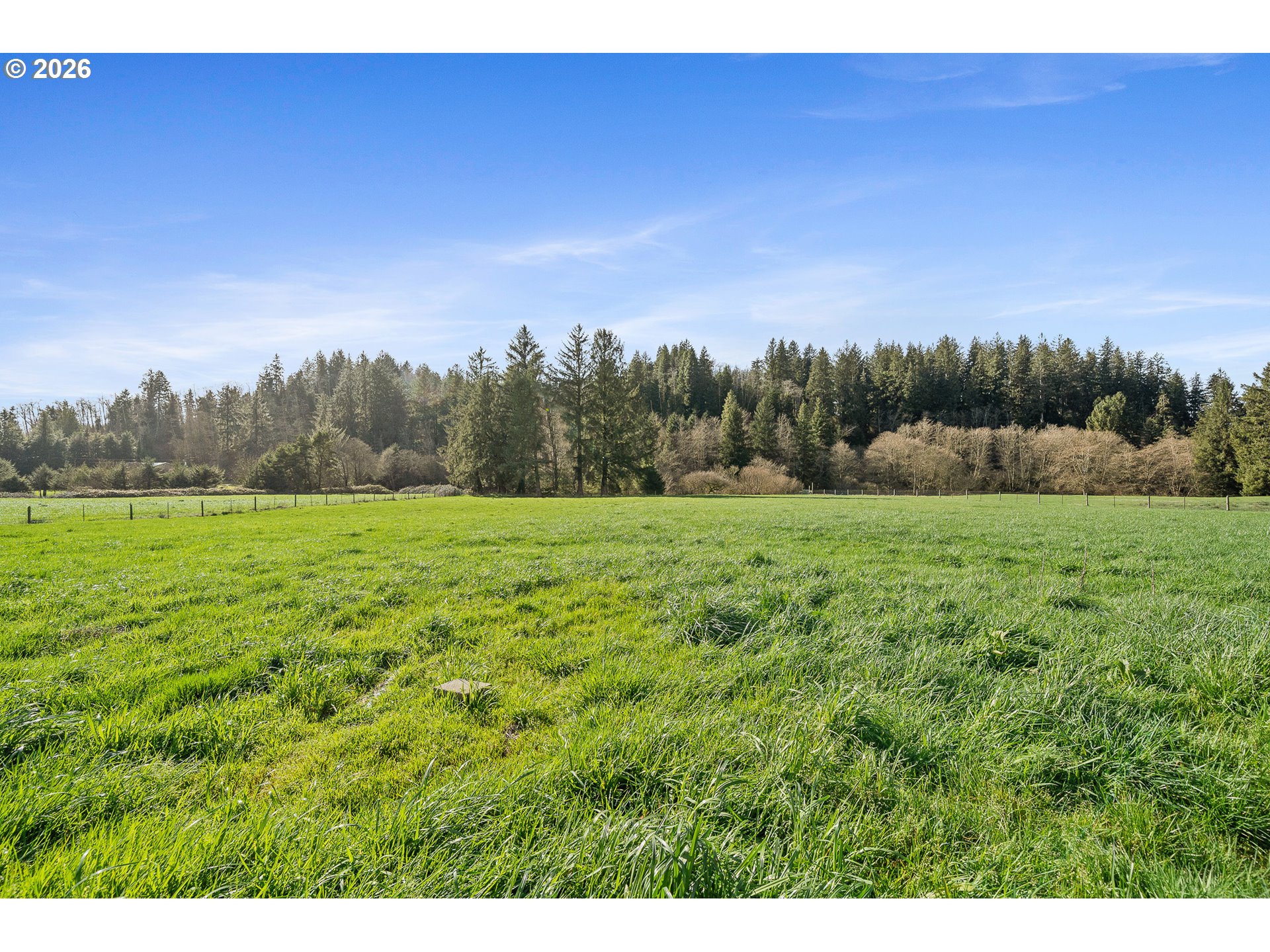 5350 Brickyard Road Tillamook, OR 97141 - Photo 35 of 46 Pasture