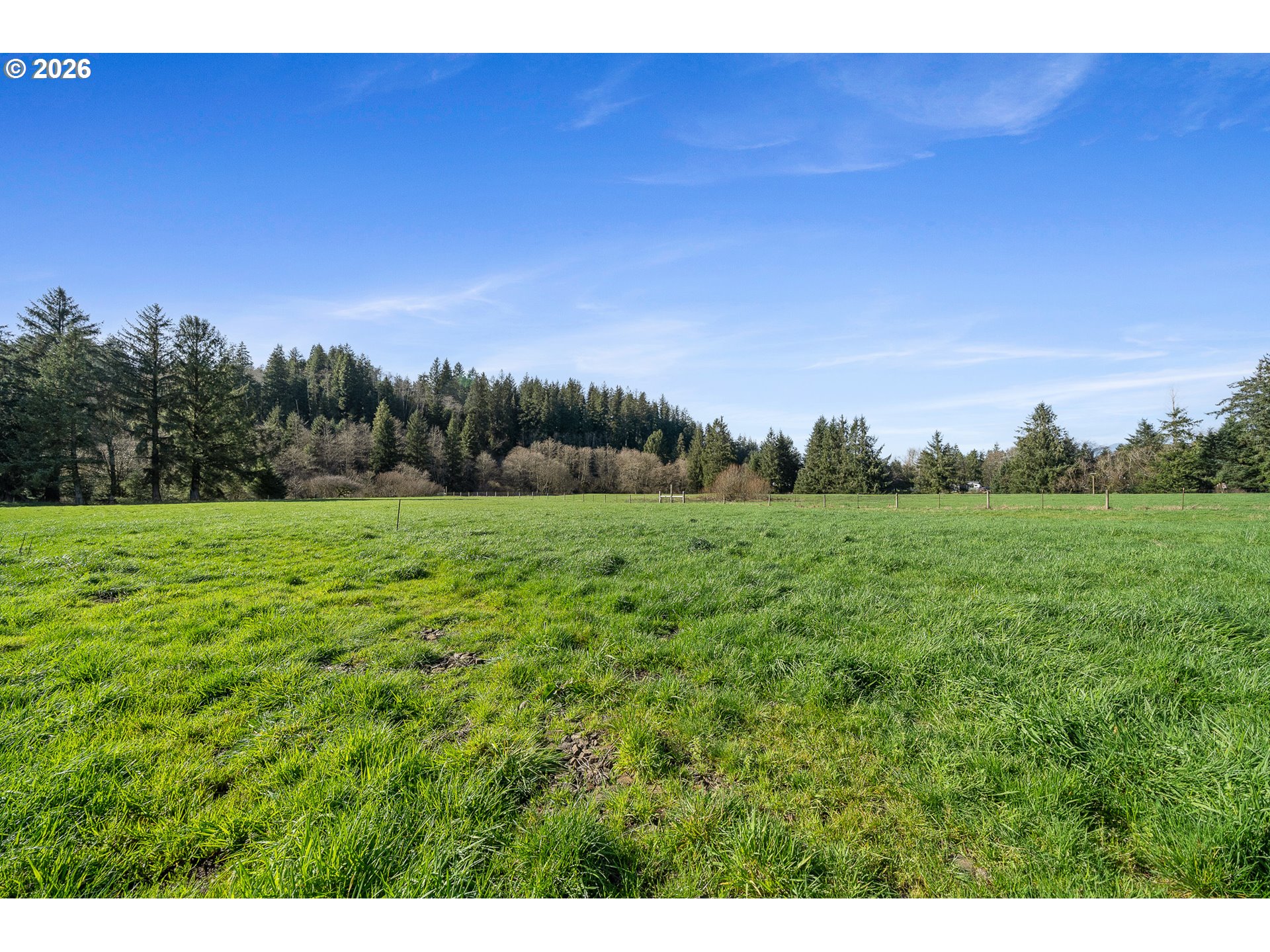 5350 Brickyard Road Tillamook, OR 97141 - Photo 36 of 46 Pasture