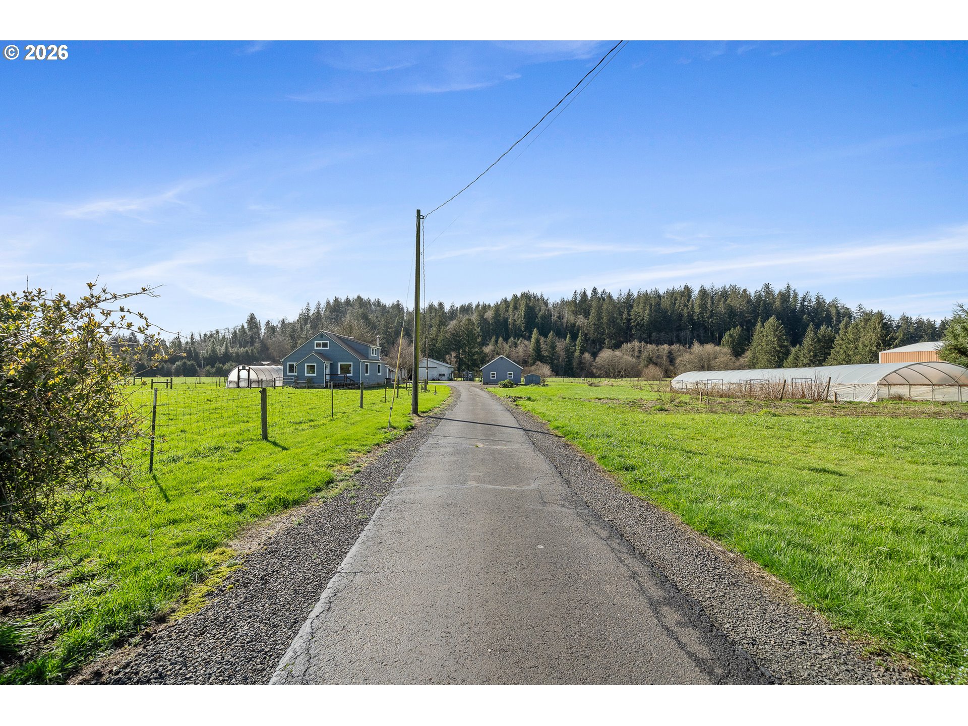 5350 Brickyard Road Tillamook, OR 97141 - Photo 4 of 46 Driveway