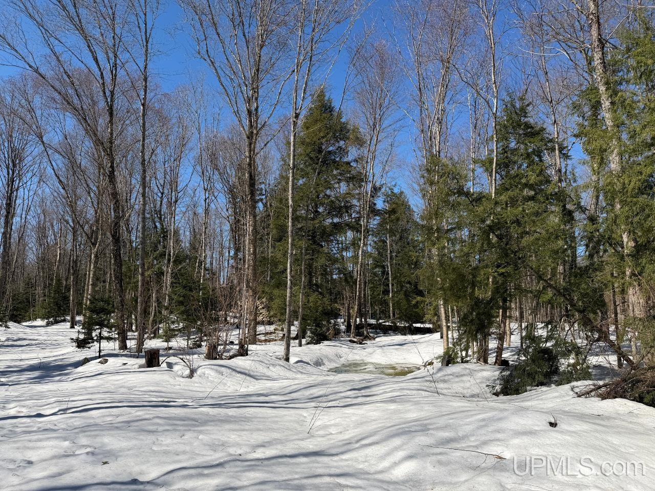 40-acres Dukes Road Skandia, MI 49885 - Photo 18 of 24