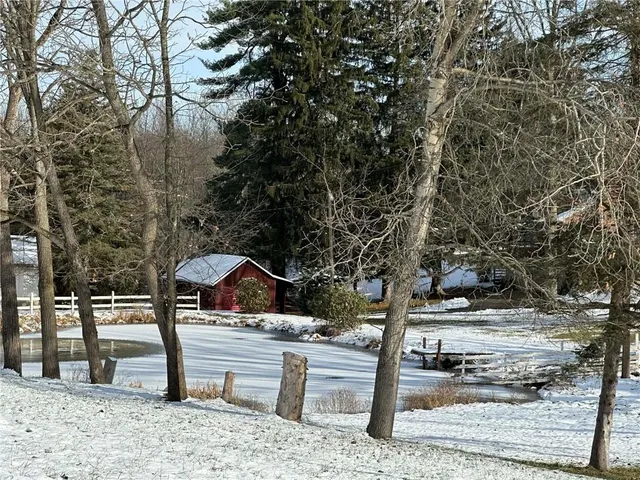 a view of a park with bench and trees