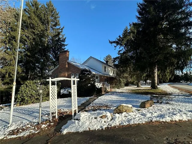 a view of a yard with a large tree