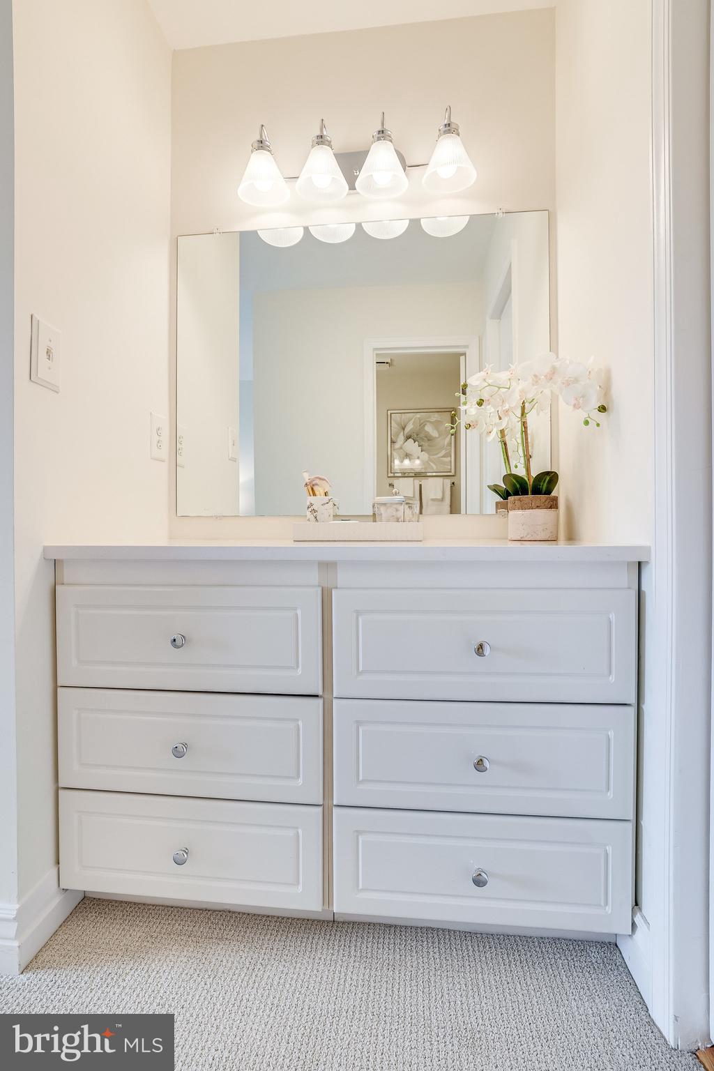 2024 Lakebreeze Way Reston, VA 20191 - Photo 47 of 95 Dressing area with new counters (2022).