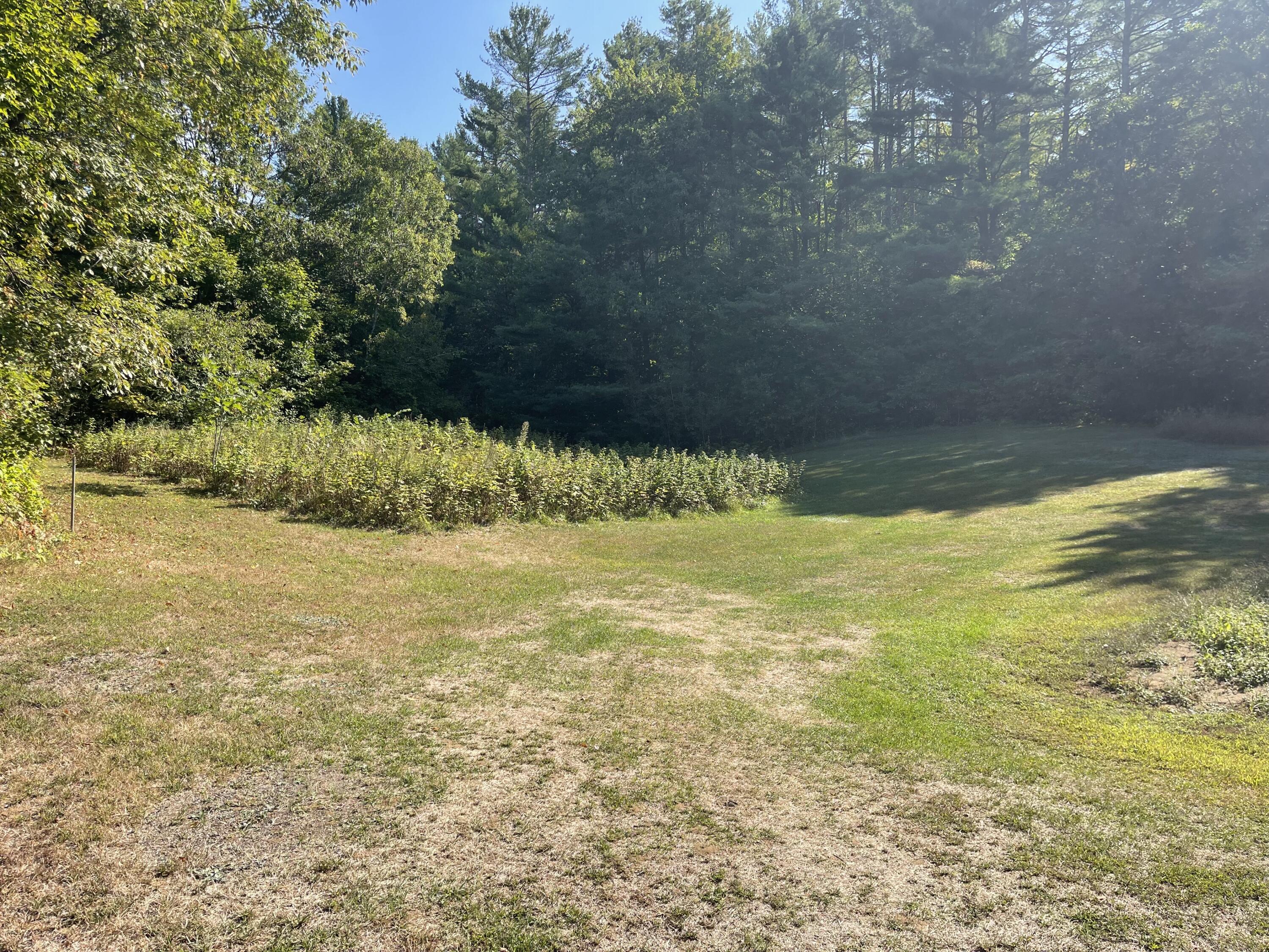 Lot 31-00a Intervale Road Bethel, ME 04217 - Photo 3 of 3 IMG_3208