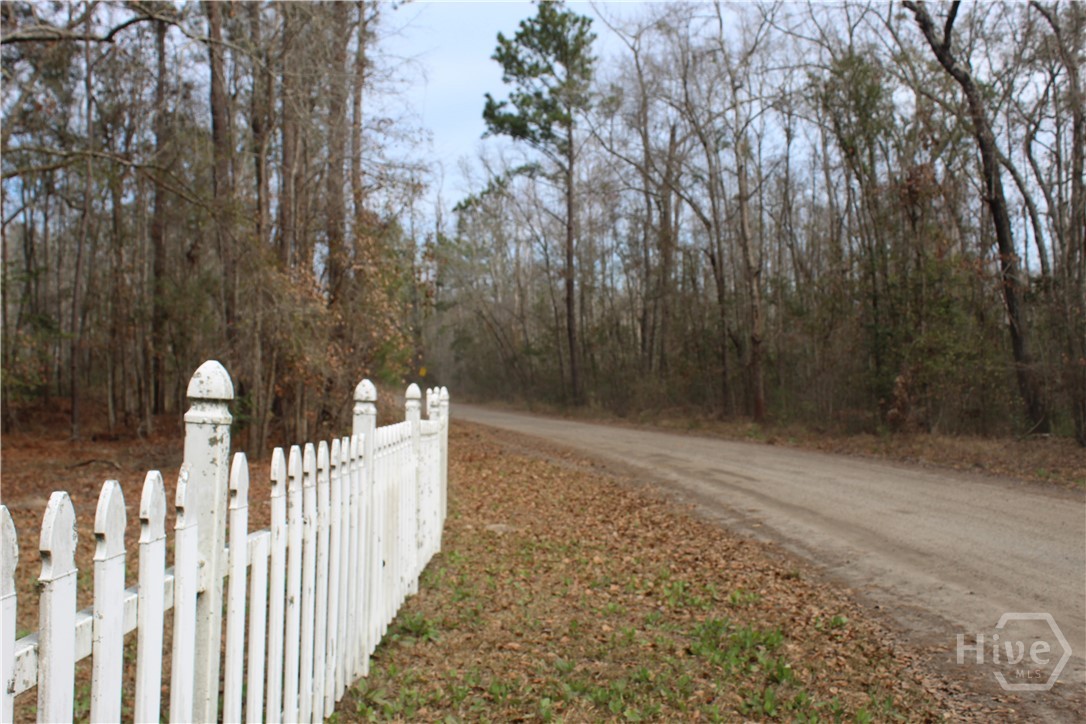 776 Phillips Road Midway, GA 31320 - Photo 3 of 16