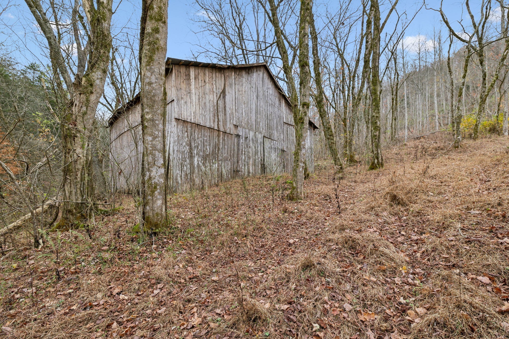 0 Long Branch Road Lancaster, TN 38569 - Photo 11 of 47 a backyard of a house