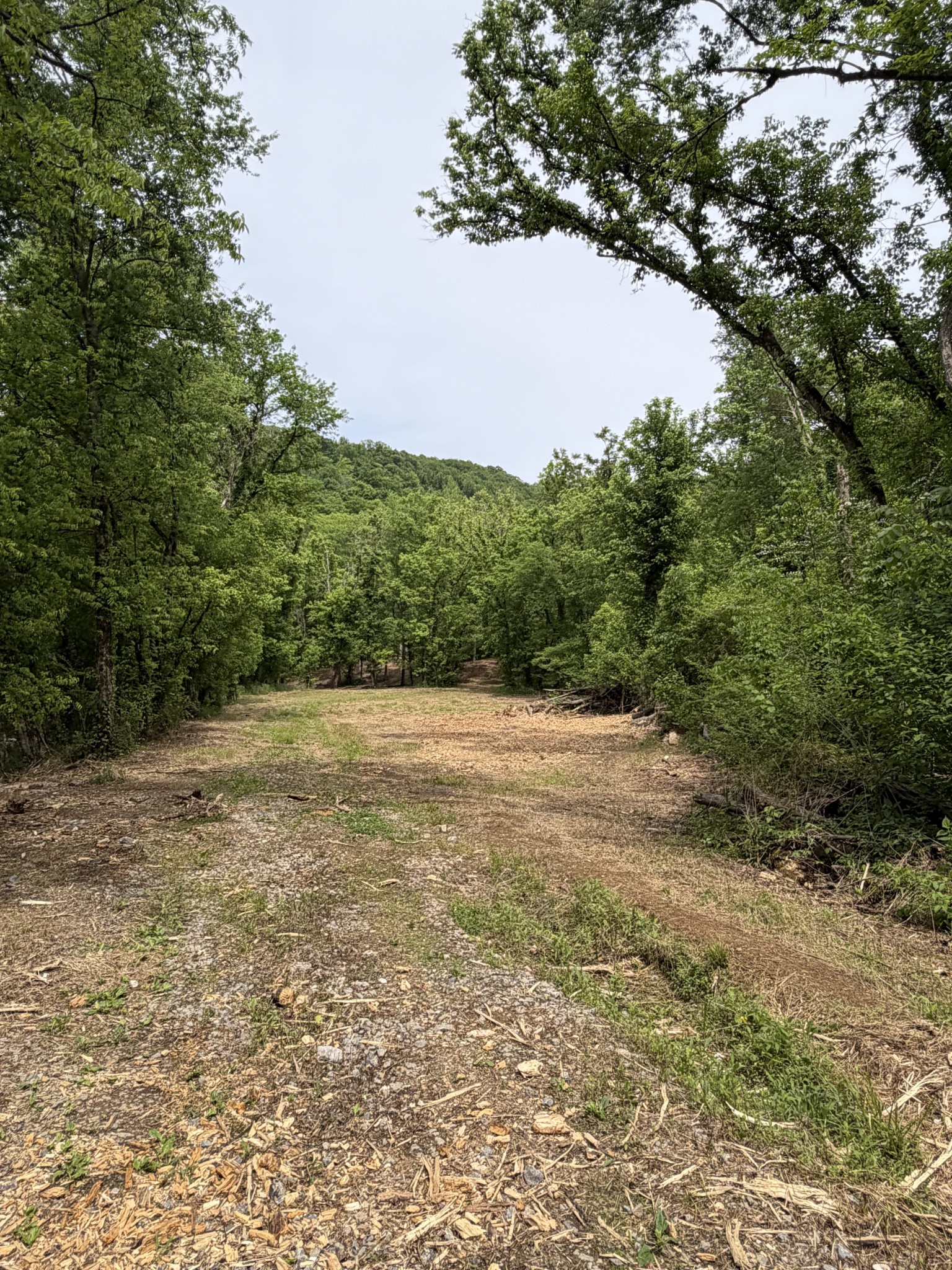 0 Long Branch Road Lancaster, TN 38569 - Photo 14 of 47 a view of yard with green space