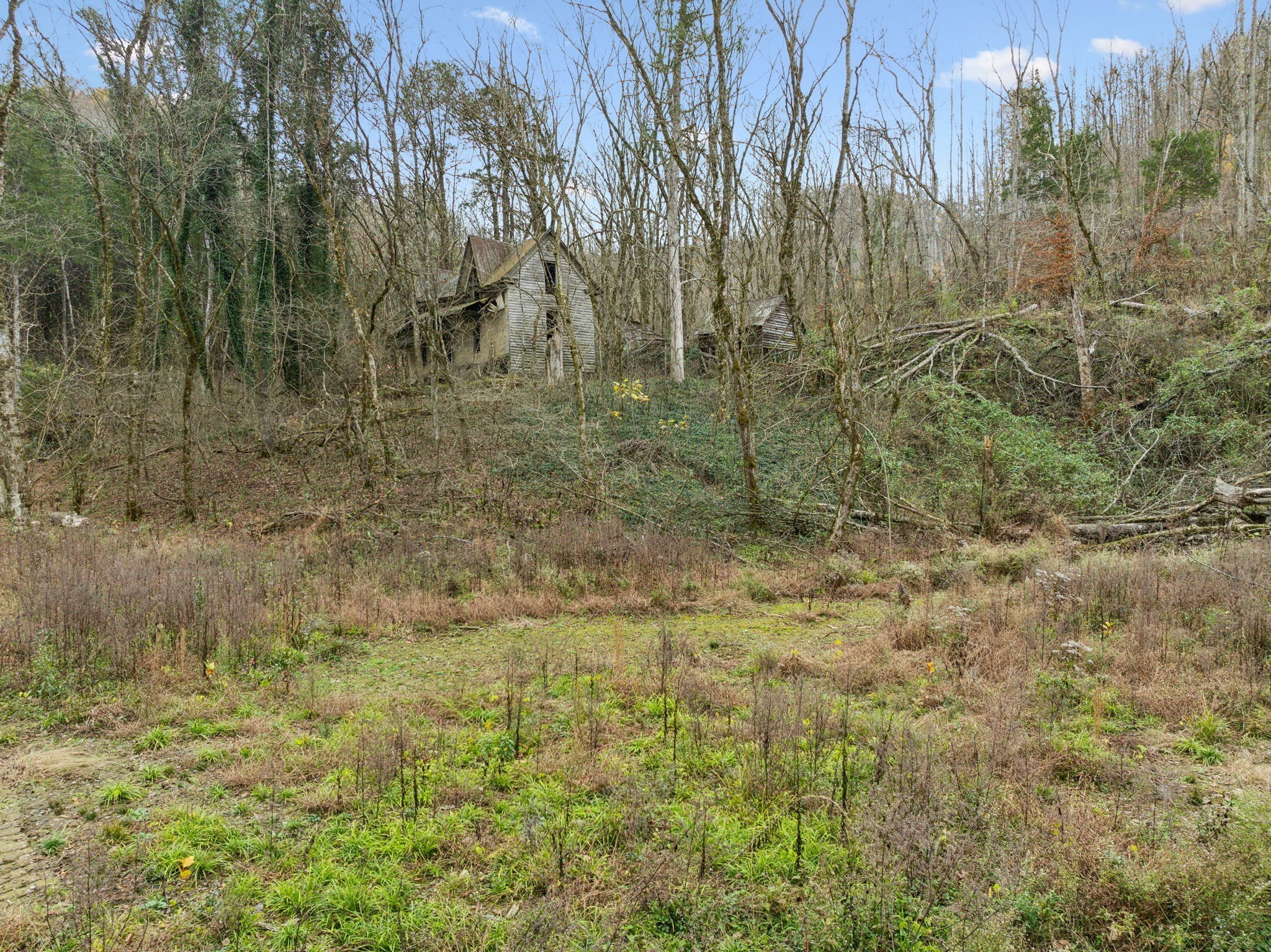 0 Long Branch Road Lancaster, TN 38569 - Photo 17 of 47 a view of a yard with trees