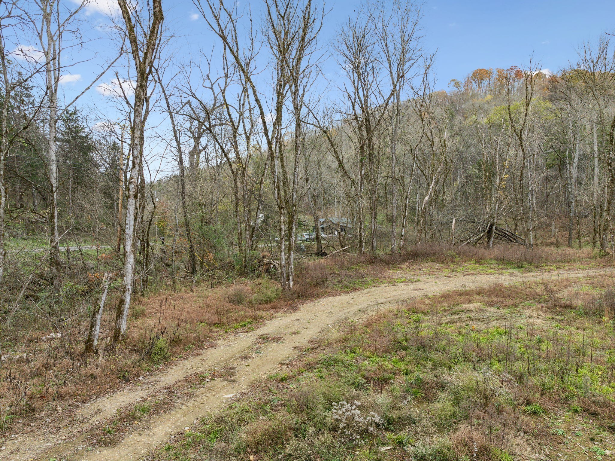 0 Long Branch Road Lancaster, TN 38569 - Photo 24 of 47 a view of a yard with trees