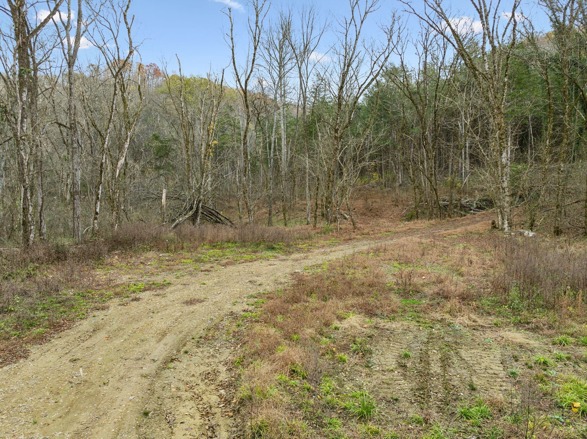 0 Long Branch Road Lancaster, TN 38569 - Photo 25 of 47 a view of a backyard