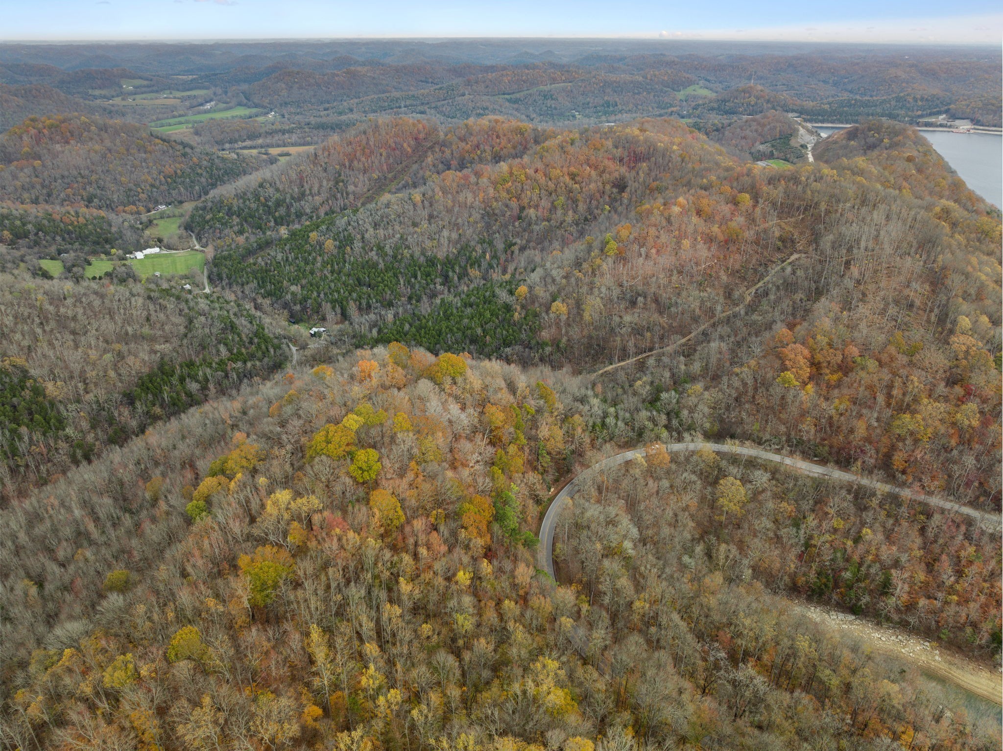 0 Long Branch Road Lancaster, TN 38569 - Photo 29 of 47 a view of a yard
