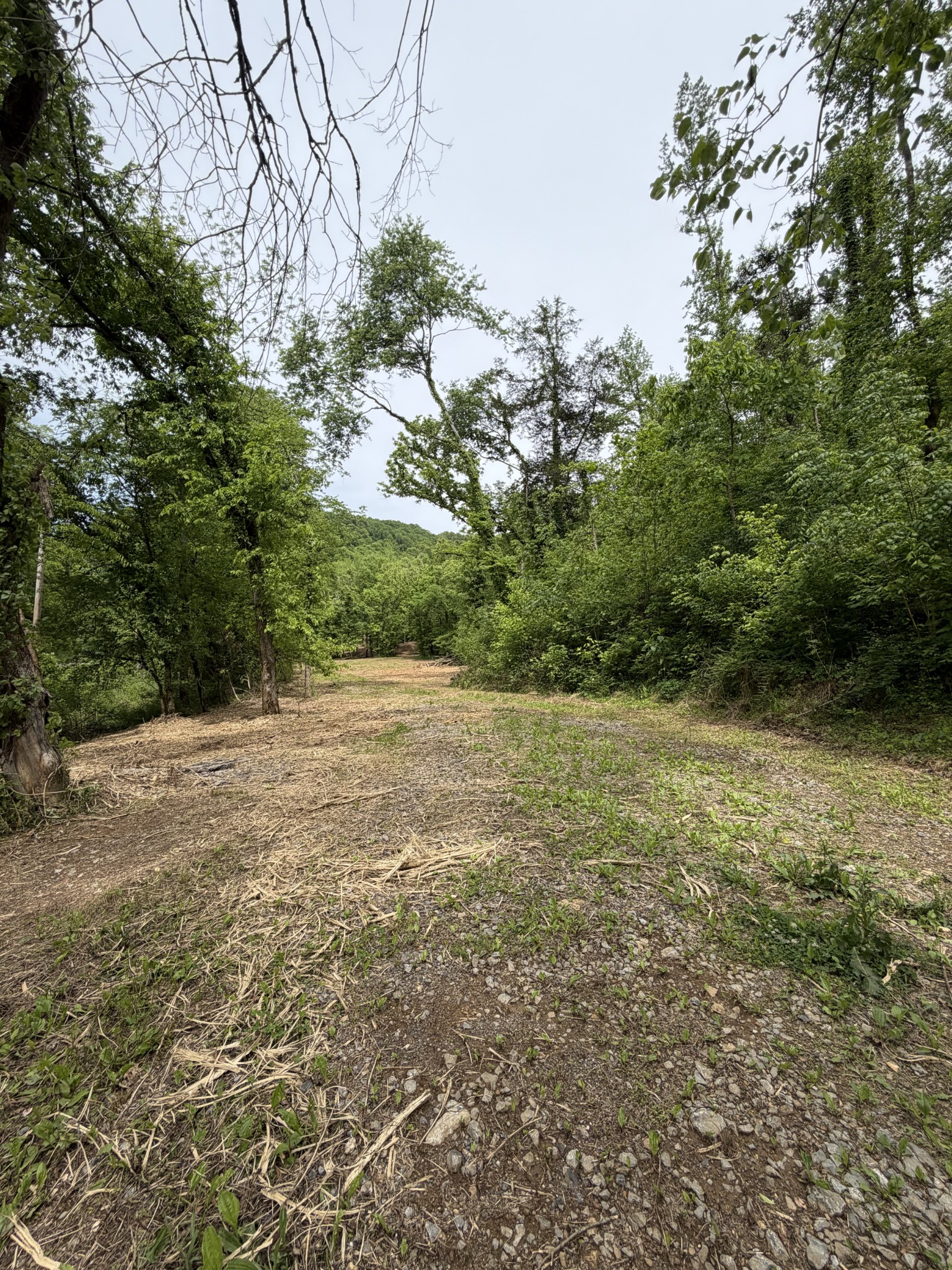 0 Long Branch Road Lancaster, TN 38569 - Photo 3 of 47 a view of outdoor space and yard