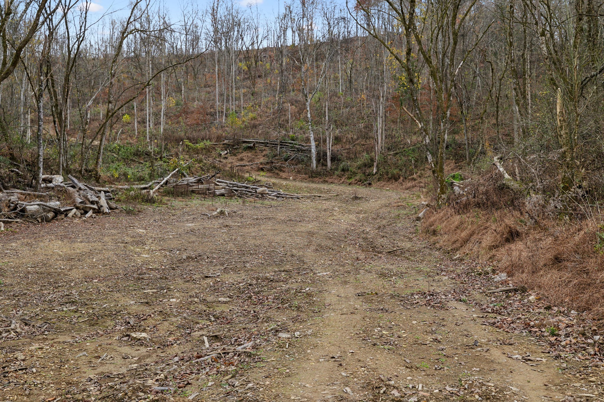 0 Long Branch Road Lancaster, TN 38569 - Photo 4 of 47 a view of a backyard with trees