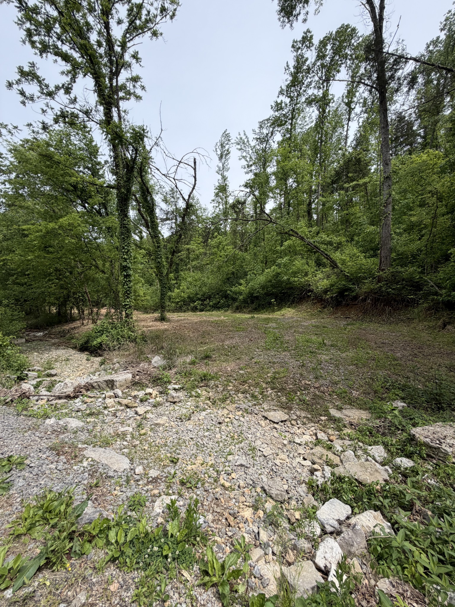 0 Long Branch Road Lancaster, TN 38569 - Photo 43 of 47 a view of a field with trees in the background