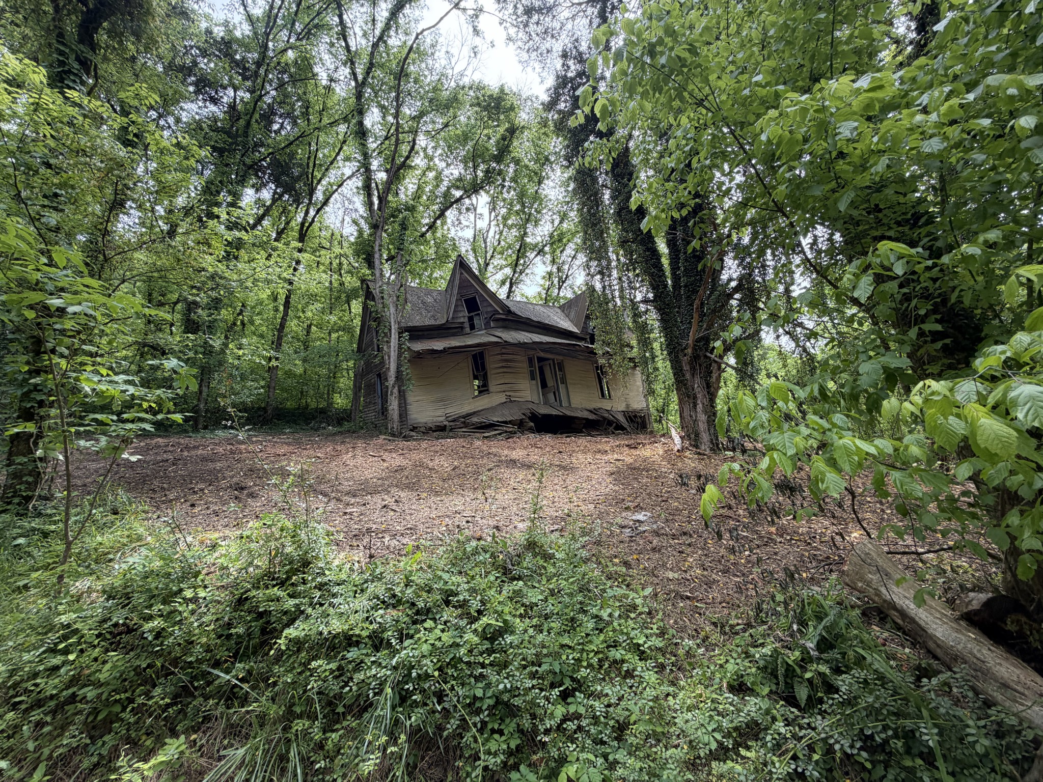 0 Long Branch Road Lancaster, TN 38569 - Photo 45 of 47 a backyard of a house with lots of green space