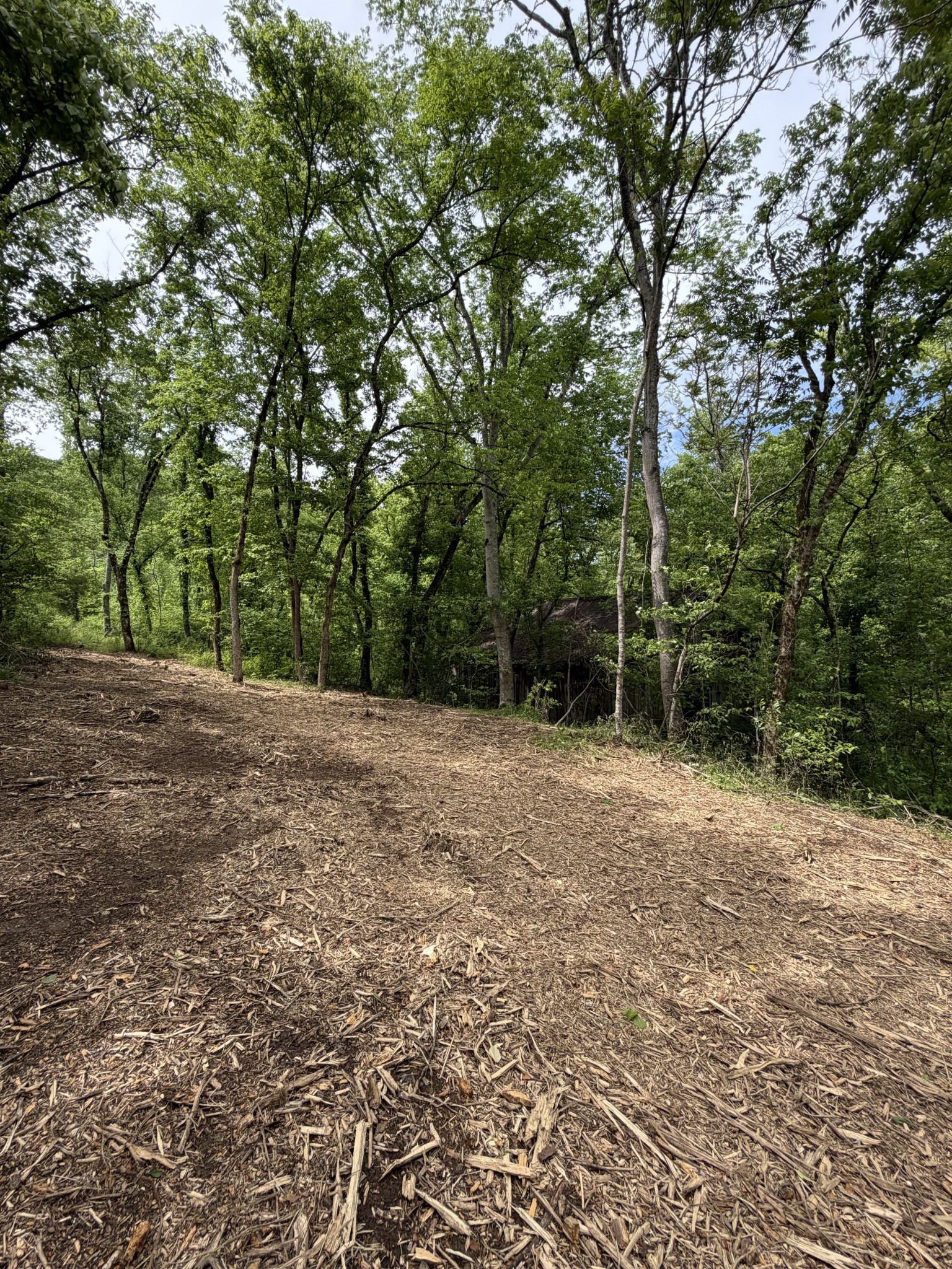 0 Long Branch Road Lancaster, TN 38569 - Photo 5 of 47 a view of backyard with green space